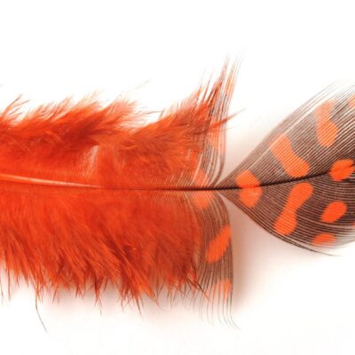 Guinea Fowl Feathers (2g)